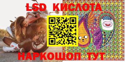 шишки Донской