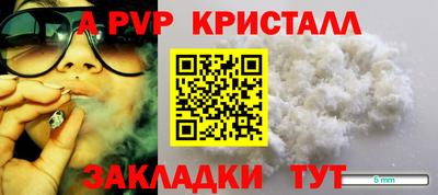 шишки Донской